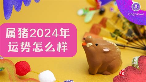 属猪2024|2024年属猪人的全年运势 属猪2024年每月运程宋韶光